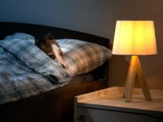 Veterinário revela característica doméstica comum que pode deixar seu cão ansioso Veterinário revela característica doméstica comum que pode deixar seu cão ansioso