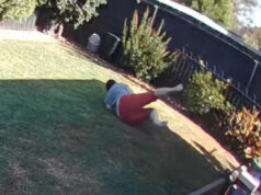 Vídeo de vigilância captura cobra venenosa enrolada em mulher: ‘Vai demorar um pouco para ela superar essa experiência’ Yahoo lifestyle home