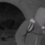 Vídeos mostram homem mascarado na porta da mãe sequestrada de âncora de TV dos EUA