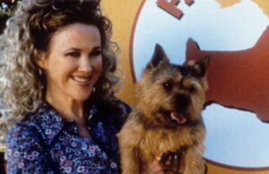 Westminster Dog Show homenageia Catherine O’Hara e seu legado de ‘Best in Show’: ‘Uma verdadeira lenda, talento atemporal e ícone’ Westminster Dog Show homenageia Catherine O'Hara e seu legado de 'Best in Show': 'Uma verdadeira lenda, talento atemporal e ícone'