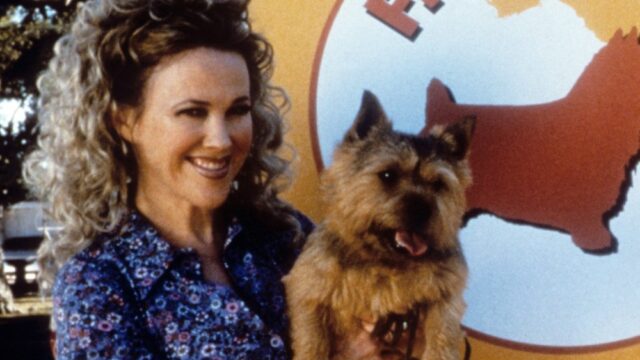 Westminster Dog Show homenageia Catherine O'Hara e seu legado de 'Best in Show': 'Uma verdadeira lenda, talento atemporal e ícone'

