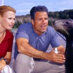 ZDF Studios fecha contrato dramático de 1.200 horas com o grupo TV2 da Hungria (EXCLUSIVO)