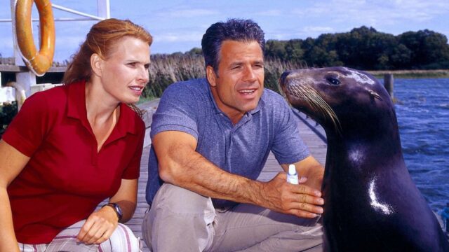 ZDF Studios fecha contrato dramático de 1.200 horas com o grupo TV2 da Hungria (EXCLUSIVO)
