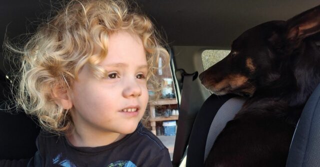 Uma nova imagem de Gus Lamont foi divulgada hoje.