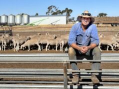 ‘Um ás na manga’: como um produtor está maximizando o parto no seco ‘Um ás na manga’: como um produtor está maximizando o parto no seco