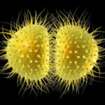 Universidade de KentCrédito: Alamy Stock Photo