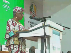 A OMC diz que o mundo está a viver a pior perturbação comercial dos últimos 80 anos A OMC diz que o mundo está a viver a pior perturbação comercial dos últimos 80 anos