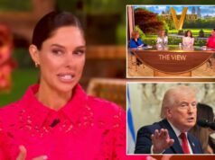 A apresentadora convidada de ‘The View’, Abby Huntsman, pede aos democratas que parem de ficar obcecados por Trump A apresentadora convidada de 'The View', Abby Huntsman, pede aos democratas que parem de ficar obcecados por Trump
