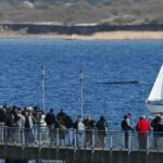 Ícone de conversão de texto em fala