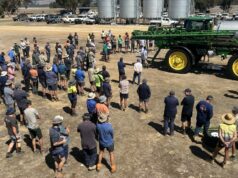 A batalha de licitações empurra o preço do pulverizador muito além das expectativas do fornecedor A batalha de licitações empurra o preço do pulverizador muito além das expectativas do fornecedor