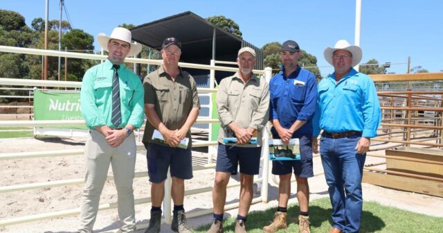 A escrita estava na parede para um resultado forte e foi assim que se desenrolou
