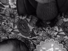 A esposa de Jack Osbourne, Aree, dá à luz a filha recém-nascida do casal, em homenagem ao falecido astro do rock Ozzy Osbourne, em homenagem sincera A esposa de Jack Osbourne, Aree, dá à luz a filha recém-nascida do casal, em homenagem ao falecido astro do rock Ozzy Osbourne, em homenagem sincera