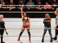 A estrela da WWE Nikki Bella supostamente ferida Nikki Bella in WWE ring with Alexa Bliss during live show in Germany