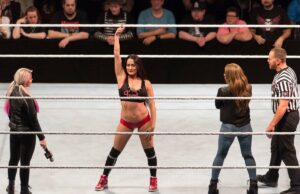 A estrela da WWE Nikki Bella supostamente ferida Nikki Bella in WWE ring with Alexa Bliss during live show in Germany