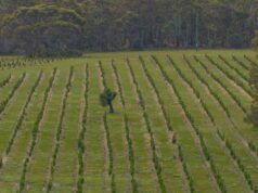 A expansão do mercado de carbono desencadeia pressão para que os federais protejam as melhores terras agrícolas A expansão do mercado de carbono desencadeia pressão para que os federais protejam as melhores terras agrícolas