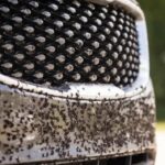 A grade do seu carro fica suja com frequência? Esta é uma maneira fácil de limpá-lo