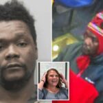 A patética razão pela qual o migrante ilegal que 'hackeou a mãe até a morte' no subúrbio esquerdista de DC estava livre - apesar de 30 prisões