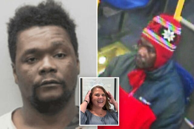 A patética razão pela qual o migrante ilegal que 'hackeou a mãe até a morte' no subúrbio esquerdista de DC estava livre - apesar de 30 prisões
