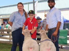 A próxima geração de Ag pode vir da cidade, o sonho de uma criança de 11 anos A próxima geração de Ag pode vir da cidade, o sonho de uma criança de 11 anos