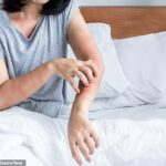 Nesta época do ano, quando está frio e ficamos presos em casa com o aquecimento ligado e as janelas fechadas, os ácaros estão em alta nas roupas de cama, almofadas, cortinas, tapetes e outros estofados.