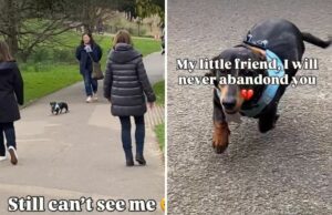 A reação do Dachshund ao ver o dono depois de perdê-la na multidão derrete corações Dachshund searches for owner
