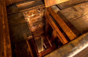 A recém-identificada passagem da Underground Railroad de Nova York está sob ameaça Yahoo news home