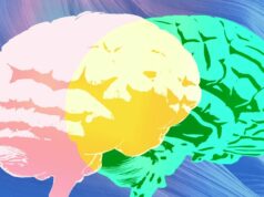 A ‘revisão de especialistas’ da Grammarly está faltando apenas os verdadeiros especialistas brains