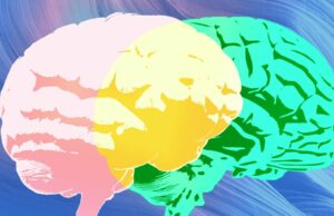 A ‘revisão de especialistas’ da Grammarly está faltando apenas os verdadeiros especialistas brains