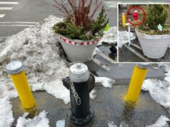 A solução bizarra de Nova York para o estacionamento ilegal de hidrantes deixou os moradores furiosos A solução bizarra de Nova York para o estacionamento ilegal de hidrantes deixou os moradores furiosos