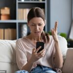 O FBI alertou que qualquer dispositivo inteligente, incluindo telefones, pode ser alvo de hackers que exploram falhas e fraquezas simples da tecnologia moderna (imagem de stock)