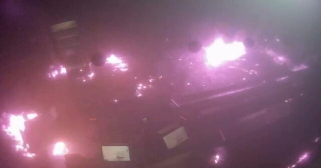 Adolescente é preso por incêndio mordido por cão policial Adolescente preso por incêndio mordido por cão policial em Melbourne