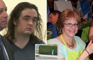 Adolescente psicopata acusado de esfaquear mortalmente uma enfermeira da UTI em um ataque aleatório diz aos policiais que ‘queria matar alguém’ há muito tempo Adolescente psicopata acusado de esfaquear mortalmente uma enfermeira da UTI em um ataque aleatório diz aos policiais que ‘queria matar alguém’ há muito tempo