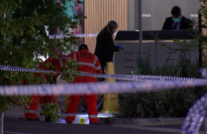 Adolescentes de Melbourne são presos por briga mortal em estação Os serviços de emergência vasculharam a cena na estação Mernda.