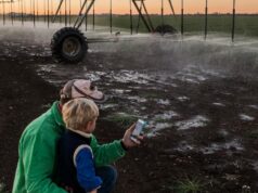 Agitações paralelas para consultoria: por que a próxima geração é mais feliz do que seus pais Agitações paralelas para consultoria: por que a próxima geração é mais feliz do que seus pais