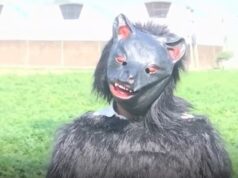 Agricultores desesperados começam a se vestir de URSOS e a rosnar na tentativa de assustar macacos comedores de batata Agricultores começaram a se vestir de ursos na Índia para assustar macacos comedores de batata