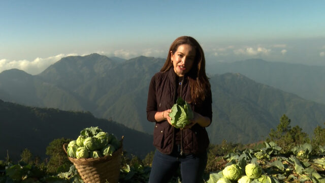 Agricultores filipinos sentem o aperto da guerra no Irã

