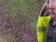 Albanese diz que o risco de multa ‘vale a pena’ participar da comemoração enquanto Alex Johnston faz história na NRL Albanese diz que o risco de multa 'vale a pena' participar da comemoração enquanto Alex Johnston faz história na NRL