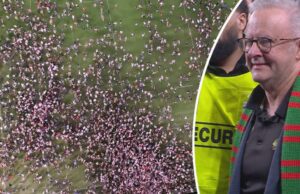 Albanese diz que o risco de multa ‘vale a pena’ participar da comemoração enquanto Alex Johnston faz história na NRL Albanese diz que o risco de multa 'vale a pena' participar da comemoração enquanto Alex Johnston faz história na NRL