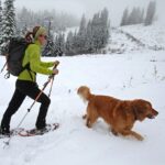 Alerta de neve forte com 12 polegadas para atingir – ‘Prepare-se para quedas de energia’