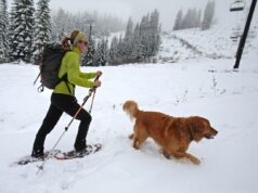 Alerta de neve forte com 12 polegadas para atingir – ‘Prepare-se para quedas de energia’ Alerta de neve forte com 12 polegadas para atingir – ‘Prepare-se para quedas de energia’