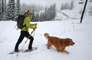 Alerta de neve forte com 12 polegadas para atingir – ‘Prepare-se para quedas de energia’ Alerta de neve forte com 12 polegadas para atingir – ‘Prepare-se para quedas de energia’