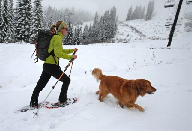 Alerta de neve forte com 12 polegadas para atingir – ‘Prepare-se para quedas de energia’
