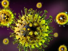 Alerta terrível: 60 pessoas potencialmente mortas pela cepa da gripe Super-K Alerta terrível: 60 pessoas potencialmente mortas pela cepa da gripe Super-K