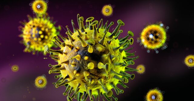 Alerta terrível: 60 pessoas potencialmente mortas pela cepa da gripe Alerta terrível: 60 pessoas potencialmente mortas pela cepa da gripe Super-K