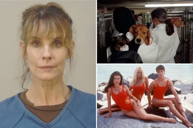 Alexandra Paul, atriz de 'Baywatch', é presa por libertar beagles em protesto pelos direitos dos animais
