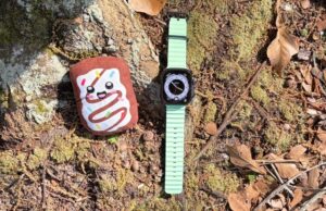 Apple Watch e meu Pop-Tart de pelúcia Apple Watch e meu Pop-Tart de pelúcia