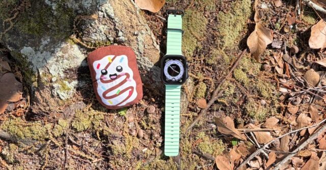 Apple Watch e meu Pop-Tart de pelúcia
