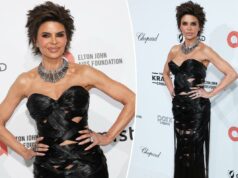 Arrepiar os cabelos: o vestido de festa do Oscar de Lisa Rinna foi feito com 11 quilos de extensões Arrepiar os cabelos: o vestido de festa do Oscar de Lisa Rinna foi feito com 11 quilos de extensões