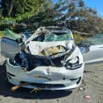 Uma árvore de 12 metros de altura caiu e atingiu dois Teslas na Rodovia 101 em Sunnyvale na quinta-feira, 5 de março de 2026, de acordo com a Patrulha Rodoviária da Califórnia. (Patrulha Rodoviária da Califórnia)