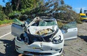 Árvore cai e atinge dois Teslas na Rodovia 101 em South Bay Uma árvore de 12 metros de altura caiu e atingiu dois Teslas na Rodovia 101 em Sunnyvale na quinta-feira, 5 de março de 2026, de acordo com a Patrulha Rodoviária da Califórnia. (Patrulha Rodoviária da Califórnia)